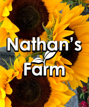 Nathan's Farm