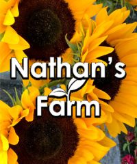 Nathan’s Farm